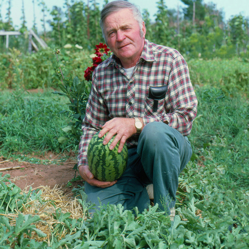 Desmond Baglole, in Memory